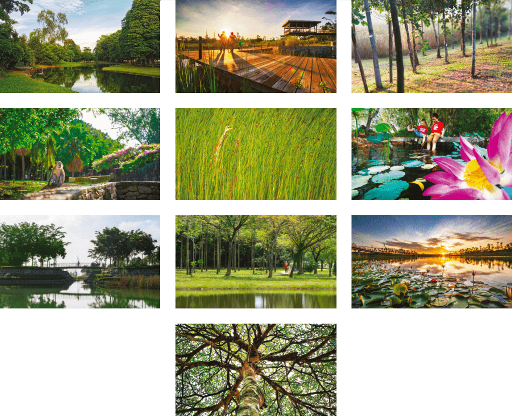 250222-Through-your-lens_hon-mentions-1024x833.png