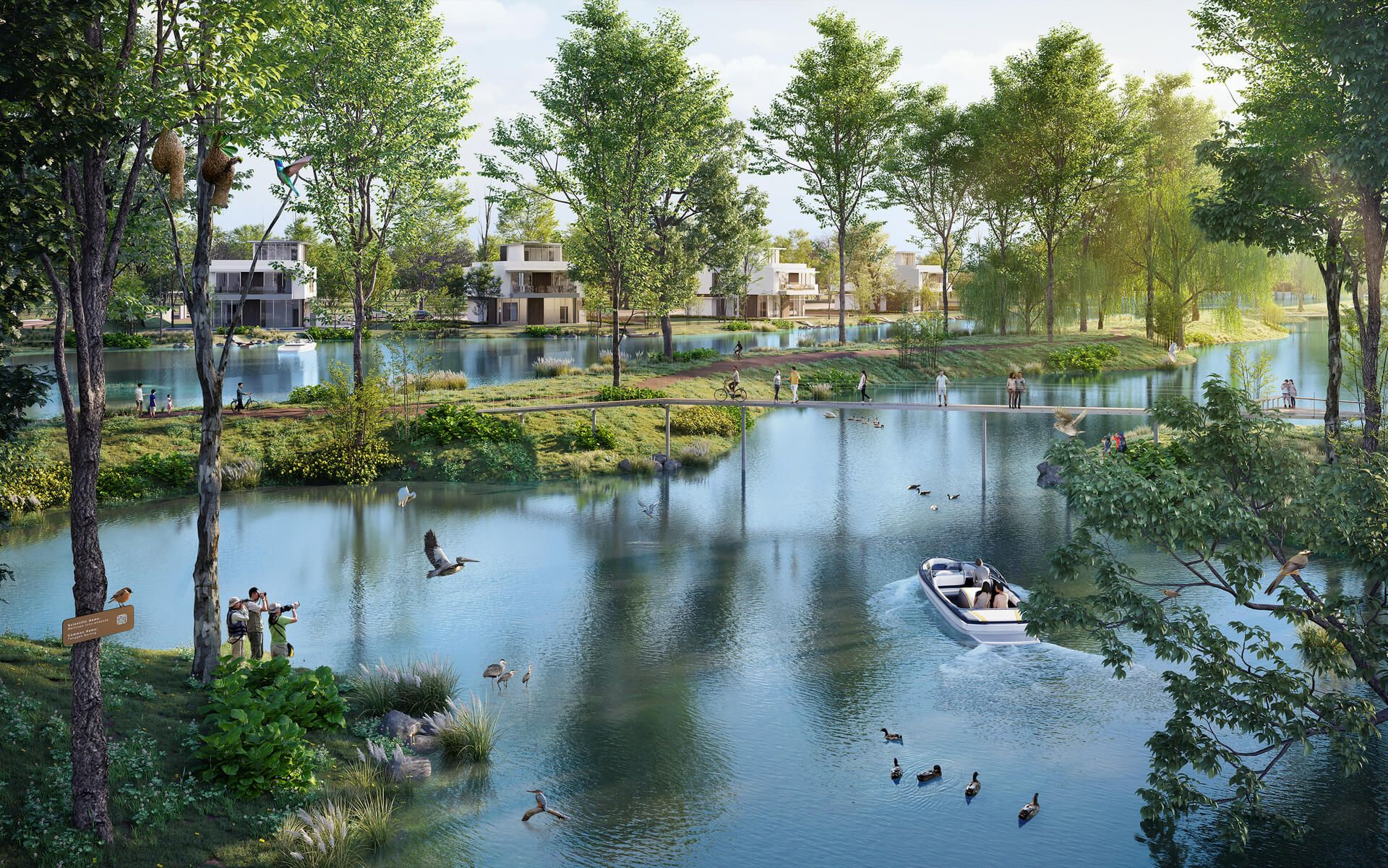 GC Wetlands.jpg